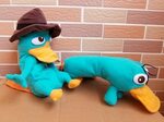 Perry The Platypus In Real Life Roblox - Swdtech-games.com