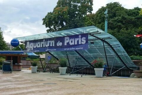 Русалка спасла парижский океанариум от банкротства О сказках