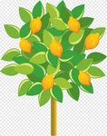 Download Gratis Lemon Fruit tree Euclidean, Kartun lemon, Ka