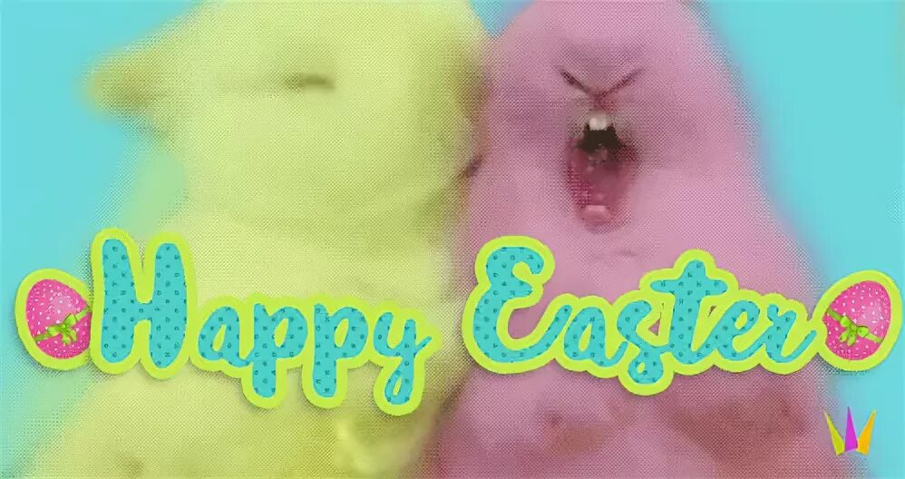 Лучшие Easter Peeps GIF Gfycat