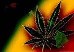 Jamaican Weed Leaf 1600x1200 Desktop Background
