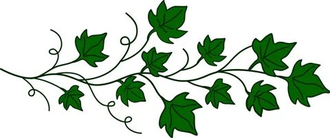 Vine Clipart PNG Transparent Background, Free Download #4367