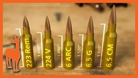 6mm ARC vs the WORLD - Is Hornady's New Cartridge Unique? - 
