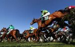 Grand National odds and tips - Preview, tv schedule, runners