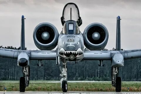 A-10 Warthog Avion militaire, Avion de combat, Avions de cha