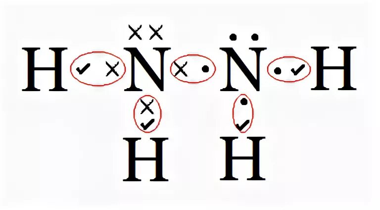 Lewis Structure N2h4 - Drawing Easy