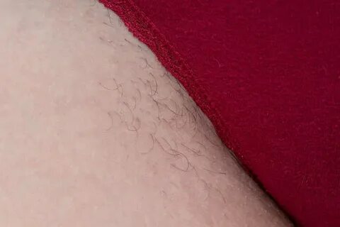 Pubic Hair On Women - Сток картинки - iStock