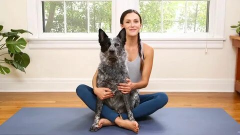 Yoga with adriene, Adriene mishler, 30 day yoga challenge