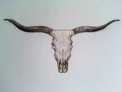 Pin by Elsa Leal on Tattoos Bull skull tattoos, Longhorn sku