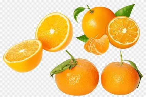 Free download Juice Tangerine Citrus xd7 sinensis Orange Fru
