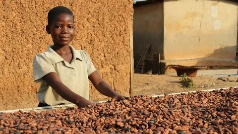 Schokolade und Kinderarbeit: Ein strukturelles Problem