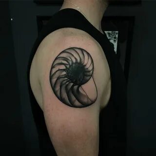 Nautilus Shell Tattoo Geometric tattoo, Shell tattoos, Geome