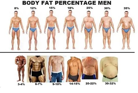 9 persent of body fat - www.fvpdiesel.com.