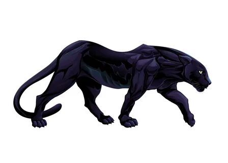 Black panther Leopard Vector graphics Tiger Illustration - b