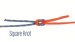 How to Tie a Square Knot - Scout Life magazine