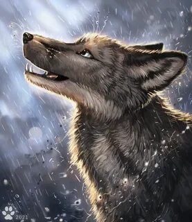 Rainy by Flash_lioness -- Fur Affinity dot net