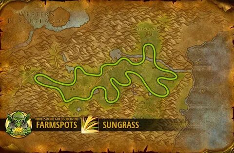 WoW Farming Sungrass - World of Warcraft Classic Farm Guide