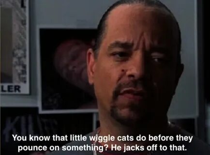 26 unbelievable things Ice-T has seen on law and order SVU -