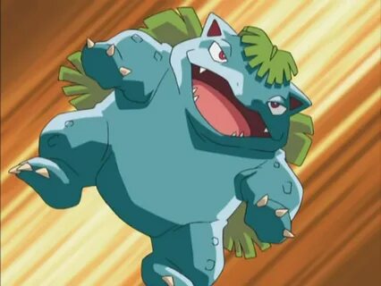 Jeremy's Venusaur Pokémon Wiki Fandom