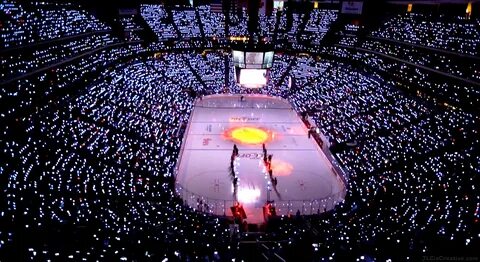 Xylobands Fill Arizona Coyotes Stadium With Light - Xyloband