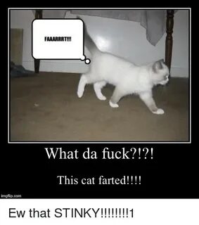 What Da Fuck?!?! This Cat Farted!!!! Imgflipcomm Cat Meme on