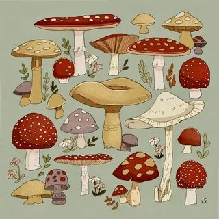 Just A Repost Mushroom drawing, Mushroom art, Cute art