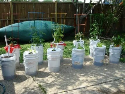 5 Gallon Self-Watering Tomato Container - DIY projects for e