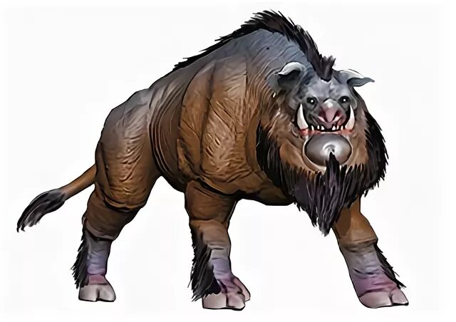 Giant Hyena 5e 10 Images - 800 Best Images About Hex Charact