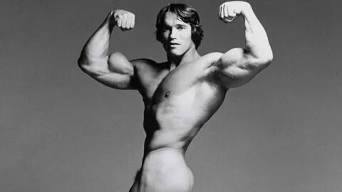 Arnold Schwarzenegger - Page 2 - Tapered Bodies