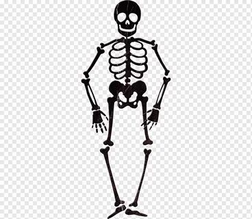 Skeleton, skeleton Akimbo, monokrom, manusia, teror png PNGW