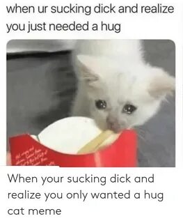 🐣 25+ Best Memes About Hug Cat Hug Cat Memes