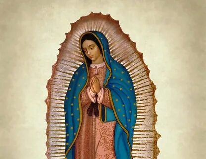 Educational seminar: Preview of Our Lady of Guadalupe School