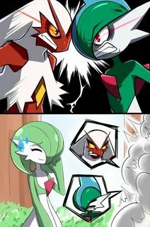 Kkkkkk Blaziken e Gallade brigando pela Gardevoir kkkkk Cute