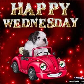 Cute Happy Wednesday Gif good morning wednesday hump day wed