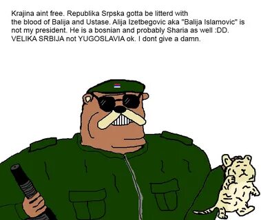 You see these Serbian shitposters approach your local - /int