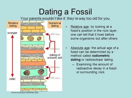 How Does Radioactive Dating Determine The Age Of Fossils : H