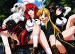 HIGH SCHOOL DxD' Poster by A Pro Displate