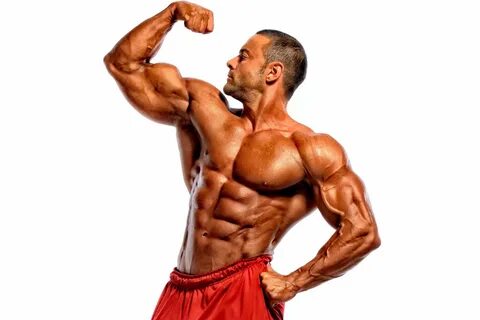 Buy bodybuilding trainer cheap online