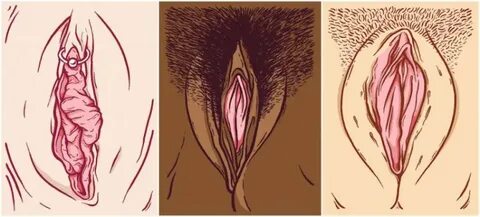 Des clitoris en veux-tu en voilà avec les illustrations de M
