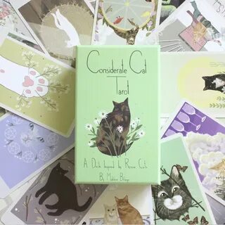 Considerate Cat Tarot Tarot decks, Tarot card spreads, Tarot