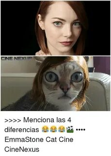 19 Hilarious Emma Stone Cat Meme Photos & Images - MemesBoy