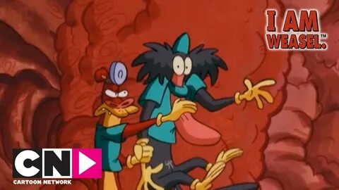 The Incredible Shrinking I Am Weasel Cartoon Network - YouTu