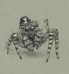 Cute Drawings Spider (55 photos) " Рисунки для срисовки и не
