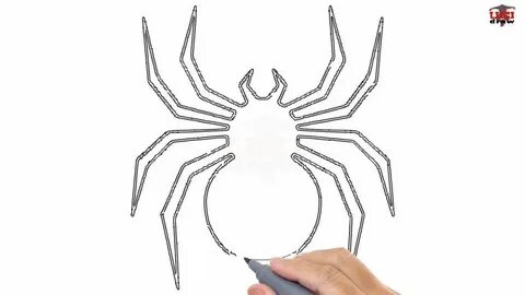 How To Draw A Spider For Kids at Drawing