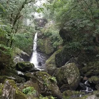 Devils Glen Waterfall - Pist