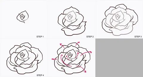 MANGA START! " Blog Archive " Exercise R2: Drawing Roses Ros