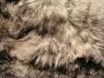 fur, texture of fur skins, fur texture background in 2021 Fu