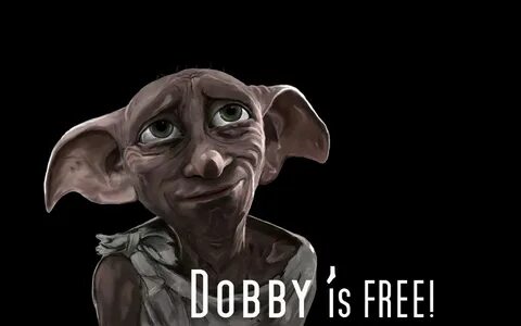 Dobby is Free Socks Funny Harry Potter Fashion Women