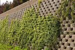 Concrete Wall Block - VERDURA / Soil Retention Jardines vert