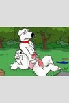 Pictures showing for Seth Iova Brian Griffin Porn - www.redp